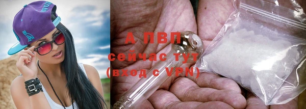 прущие грибы Себеж