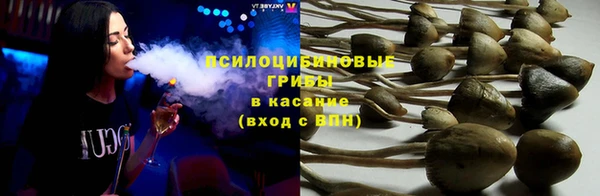 дурь Слюдянка