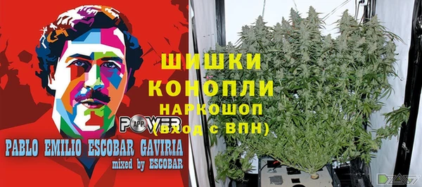 ALPHA PVP Северо-Курильск