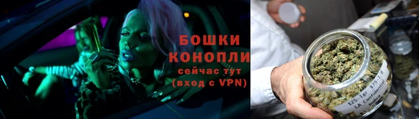 гидропоника Снежногорск