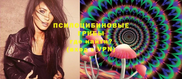 дурь Слюдянка