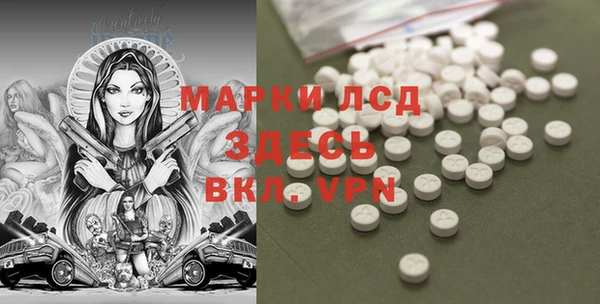 прущие грибы Себеж