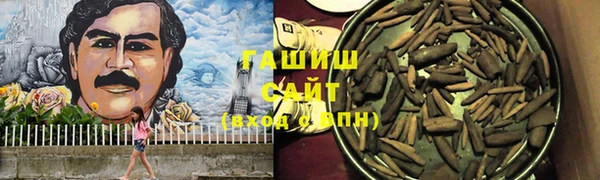 прущие грибы Себеж