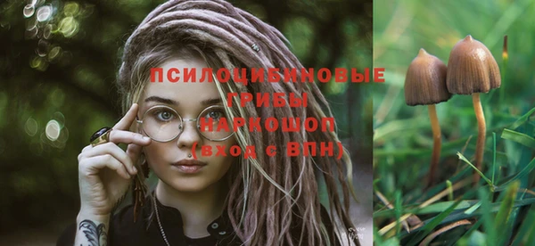 гидропоника Снежногорск