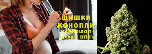 ALPHA PVP Снежинск