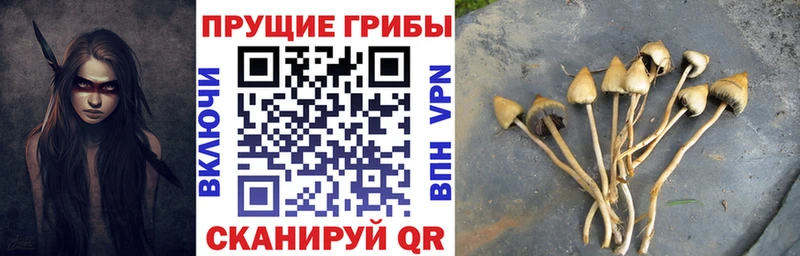Псилоцибиновые грибы Magic Shrooms  Снежногорск 